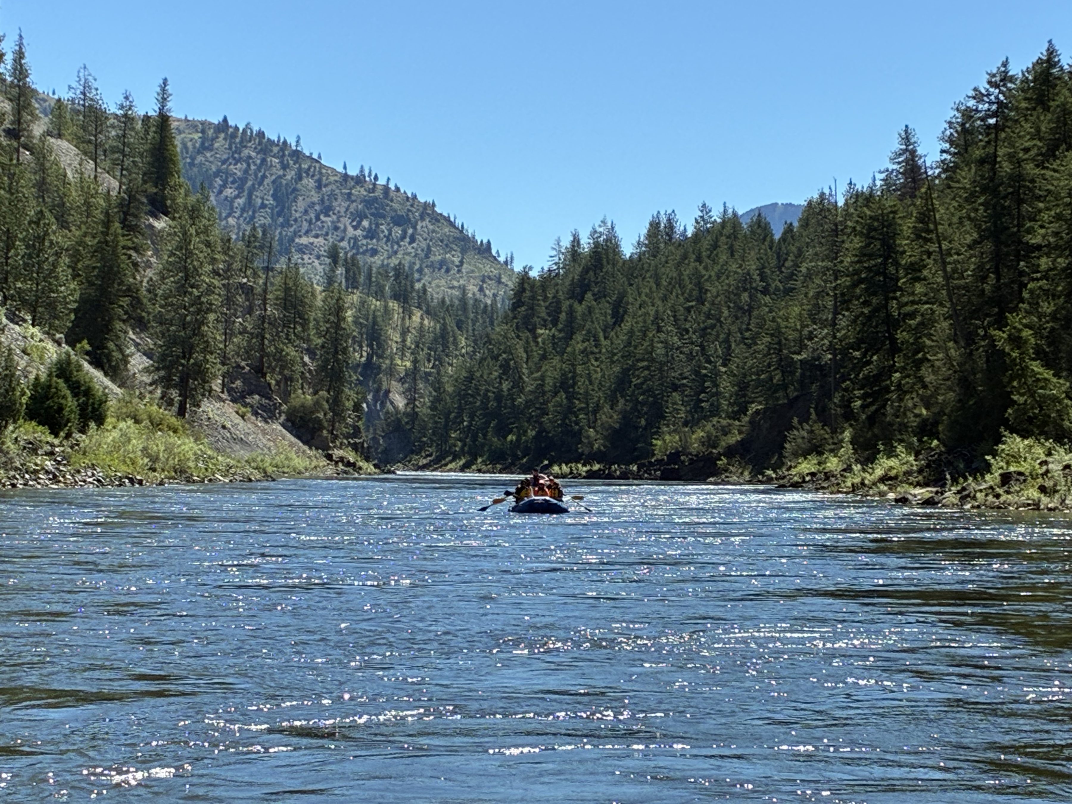 The Clark Fork running between steep forested slopes on a clear summer day
